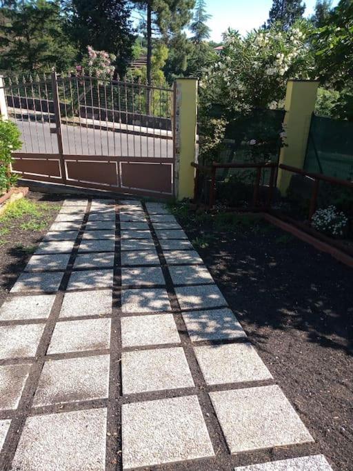 Loft Sotto Il Vulcano, Con Posto Auto Privato Zafferana Etnea Eksteriør billede